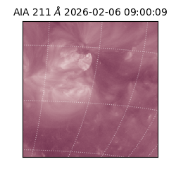 saia - 2026-02-06T09:00:09.630000