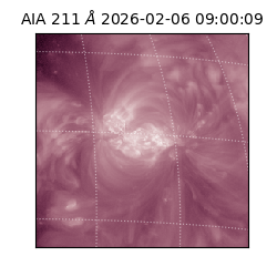 saia - 2026-02-06T09:00:09.630000