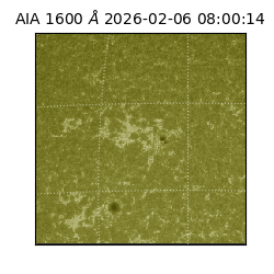 saia - 2026-02-06T08:00:14.125000