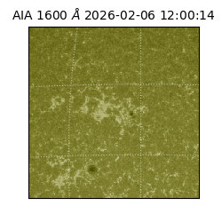 saia - 2026-02-06T12:00:14.126000