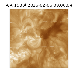 saia - 2026-02-06T09:00:04.843000