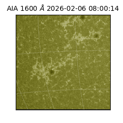 saia - 2026-02-06T08:00:14.125000