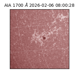 saia - 2026-02-06T08:00:28.721000