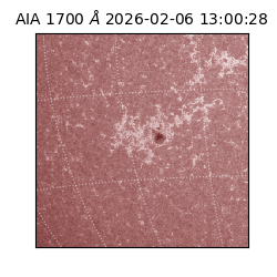 saia - 2026-02-06T13:00:28.719000