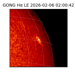 gong - 2026-02-06T02:00:42