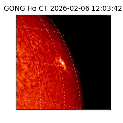 gong - 2026-02-06T12:03:42