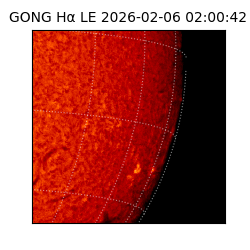 gong - 2026-02-06T02:00:42
