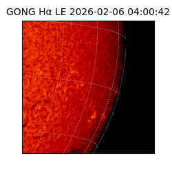 gong - 2026-02-06T04:00:42