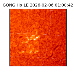 gong - 2026-02-06T01:00:42