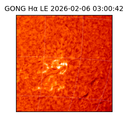 gong - 2026-02-06T03:00:42
