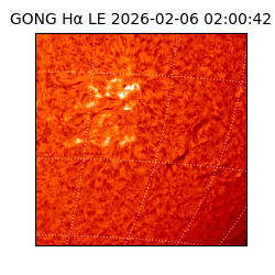 gong - 2026-02-06T02:00:42