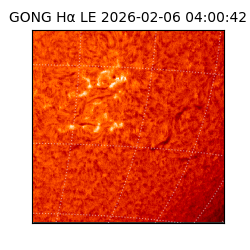 gong - 2026-02-06T04:00:42