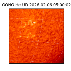 gong - 2026-02-06T05:00:02