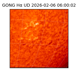 gong - 2026-02-06T06:00:02
