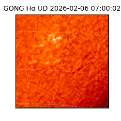 gong - 2026-02-06T07:00:02
