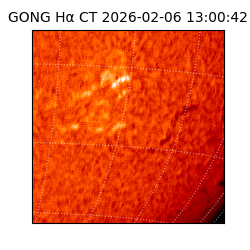gong - 2026-02-06T13:00:42