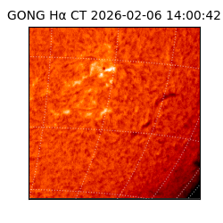 gong - 2026-02-06T14:00:42