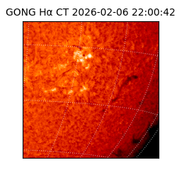 gong - 2026-02-06T22:00:42