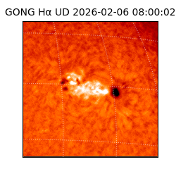 gong - 2026-02-06T08:00:02