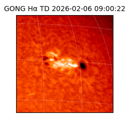 gong - 2026-02-06T09:00:22