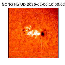 gong - 2026-02-06T10:00:02