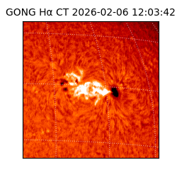 gong - 2026-02-06T12:03:42