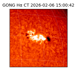 gong - 2026-02-06T15:00:42
