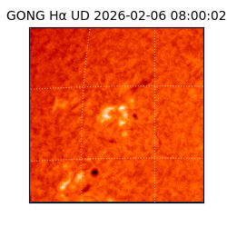 gong - 2026-02-06T08:00:02