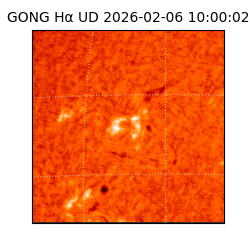 gong - 2026-02-06T10:00:02