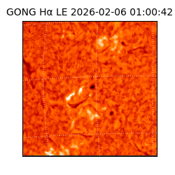 gong - 2026-02-06T01:00:42
