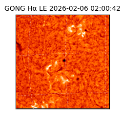 gong - 2026-02-06T02:00:42
