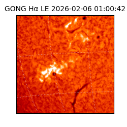 gong - 2026-02-06T01:00:42