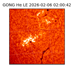 gong - 2026-02-06T02:00:42
