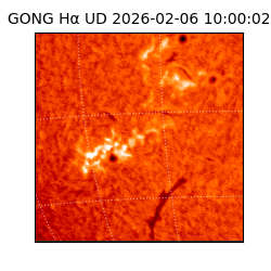 gong - 2026-02-06T10:00:02