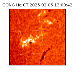gong - 2026-02-06T13:00:42