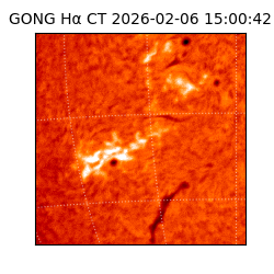gong - 2026-02-06T15:00:42