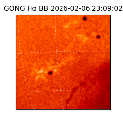 gong - 2026-02-06T23:09:02