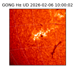 gong - 2026-02-06T10:00:02