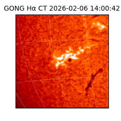 gong - 2026-02-06T14:00:42