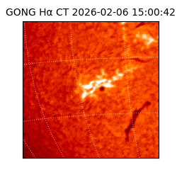 gong - 2026-02-06T15:00:42