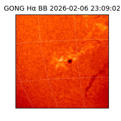 gong - 2026-02-06T23:09:02
