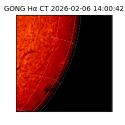 gong - 2026-02-06T14:00:42