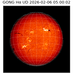 gong - 2026-02-06T05:00:02
