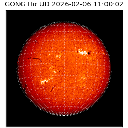 gong - 2026-02-06T11:00:02
