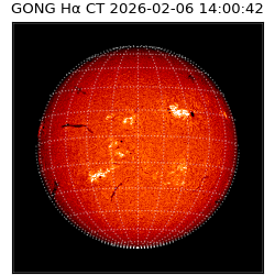 gong - 2026-02-06T14:00:42