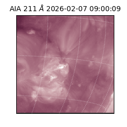 saia - 2026-02-07T09:00:09.626000