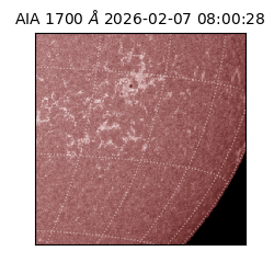 saia - 2026-02-07T08:00:28.717000