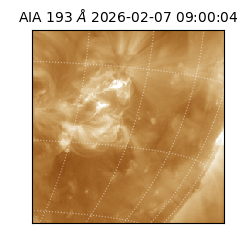 saia - 2026-02-07T09:00:04.843000