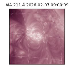 saia - 2026-02-07T09:00:09.626000