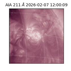 saia - 2026-02-07T12:00:09.630000